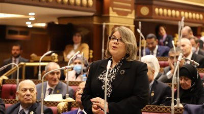 وكيل مجلس الشيوخ تطالب بضرورة إنشاء قاعدة بيانات للعلماء المصريين بالخارج