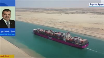 أسامة ربيع: 