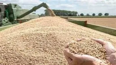 خبير اقتصادي يوضح أهم المنتجات التي يتم تداولها بالبورصة السلعية (فيديو)