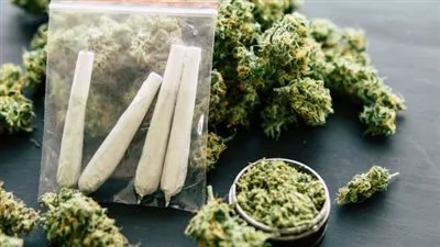 طبيب بـ نيوجيرسي: الماريجوانا ليست إدمان وإنما عادة سيئة