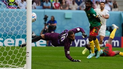 بالفيديو.. ملخص مباراة صربيا والكاميرون بالأهداف في كأس العالم قطر 2022