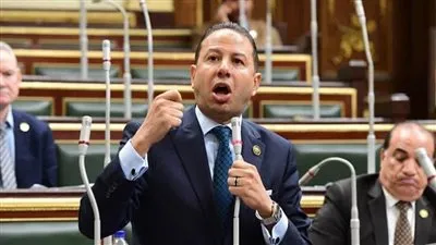 برلماني: تطوير بحيرة البردويل يزيد من دخل الصيادين