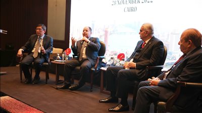 وزير المالية: أداء الاقتصاد المصرى جيد رغم كل التحديات العالمية شديدة الصعوبة 