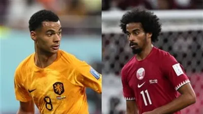 ترتيب المجموعة الثانية قبل مباريات اليوم في كأس العالم فيفا قطر 2022