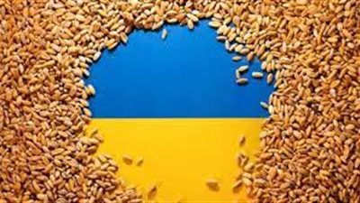 أسعار القمح  تتراجع في البورصة الامريكية إلى أدني مستويتها من 3 شهور 