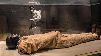 السياحة: اكتشافنا وجود البلهارسيا في مومياوات عمرها 3 آلاف عام