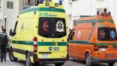 مصرع شخص وإصابة آخر في حادث على طريق جمصة المنصورة