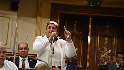 برلمانية: أمل كبير لقطاع البترول في الجمهورية الجديدة.. وضرورة توصيل الغاز للصعيد