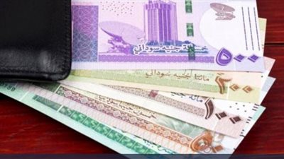  الجنيه يتماسك.. سعر الدولار اليوم في السودان خلال تعاملات اليوم الأربعاء 