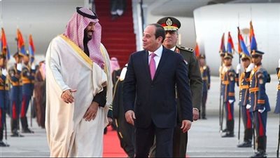 عاجل.. تفاصيل لقاء الرئيس السيسي مع ولي العهد السعودي 