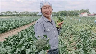 بعد الكارثة النووية.. اليابان تعيد انعاش الاقتصاد الزراعي بفوكوشيما