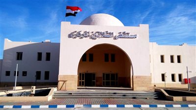 اللجنة الطبية بمجلس الوزراء تنظم قافلة شاملة لـ 