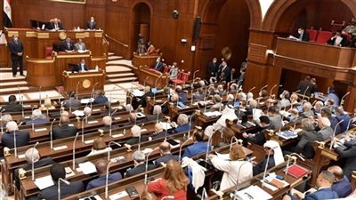 برلماني: تعديلات الإجراءات الضريبية لا تخل بسرية الحسابات البنكية