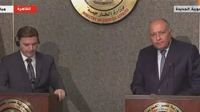 وزير الخارجية عن القمة الصينية: توجه مصر متسق مع باقي الأشقاء العرب