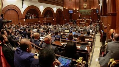 بدء الجلسة العامة لمجلس الشيوخ لمناقشة مشروع قانون إنشاء صندوق مصر الرقمية