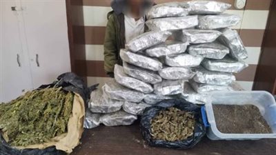 ضبط 50 كيلو مخدر الهيدرو بقيمة مليون جنيه في شمال سيناء