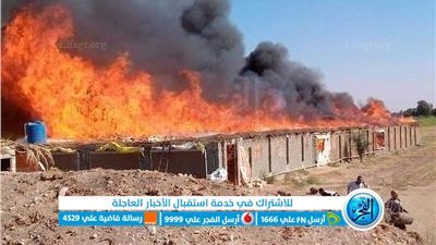 نفوق 5 آلاف دجاجة بسبب الطقس في الدقهلية (تفاصيل)