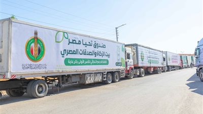 صندوق تحيا مصر وبيت الزكاة والصدقات ينظمان قافلة حماية اجتماعية بمحافظة الأقصر