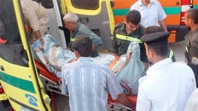 أب يُنهي حياة نجله خلال مشاجرة بينهما بالبحيرة