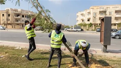 بالتعاون مع جهاز القاهرة الجديدة.. شركة عقارات تتولي  تطويرأعمال التشجير بـ 4 محاور رئيسية بالتجمع 