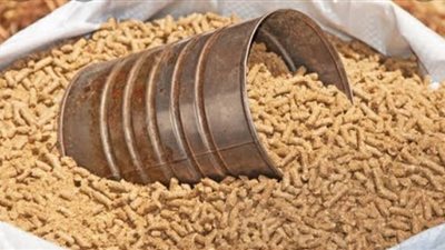 أسعار أعلاف الدواجن اليوم السبت 17 ديسمبر 2022 في الاسواق