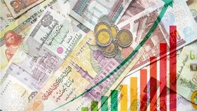 المجلس الاستشاري: مصر لديها حوافز جيدة جدا لإغراء المستثمرين (فيديو)