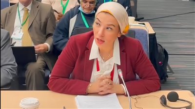 ياسمين فؤاد: دور المرأة في ملف تغير المناخ كبير جدا