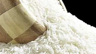 القرارات الحكومية الكاملة حول الأرز.. وعقوبات صادمة لهؤلاء