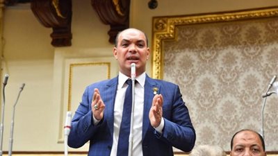 برلماني يطالب 