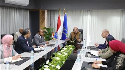 فى لقائه بوفد بنك مصر.. محافظ أسوان: طرح 15 مشروعا استثماريا بمختلف الأنشطة 