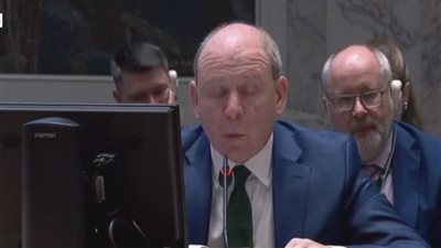 مندوب أيرلندا بمجلس الأمن: 5 ملايين يعانون أزمات إنسانية قاسية في سوريا