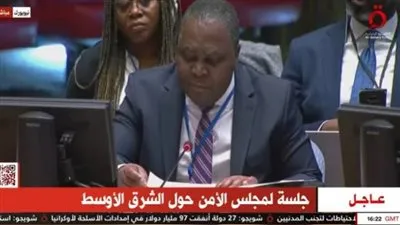 مندوب أممي عن إفريقيا: الاعتداءات التركية والإسرائيلية تهدد حياة السوريين