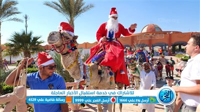 فنادق مرسي علم تحتفل بالكريسماس بجولة الجمل وهدايا للسائحين