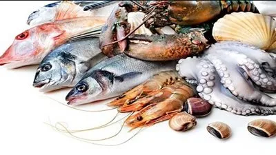 أسعار السمك اليوم الأحد 25-12-2022 بسوق العبور 