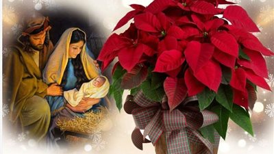  من أجواء عيد الميلاد المجيد 