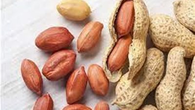 لتأخير أعراض الشيخوخة والحماية من الزهايمر..تعرف على فوائد تناول الفول السوداني