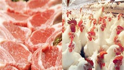 بعد الإفراج عن الأعلاف.. “الصناعات الغذائية” تزف بشرى سارة عن أسعار الدواجن (فيديو)