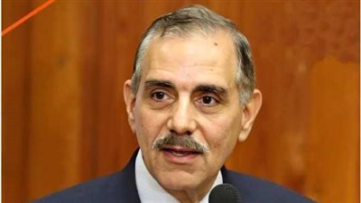 محافظ كفر الشيخ: الانتهاء من 70% من المرحلة الأولى من مبادرة حياة كريمة (فيديو)