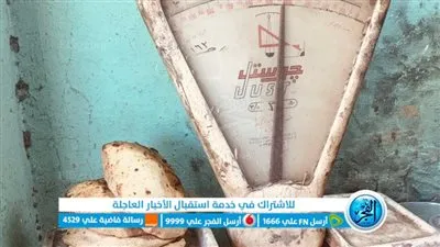 ضبط عدة قضايا تموينية في حملات مكبرة بالإسماعيلية 