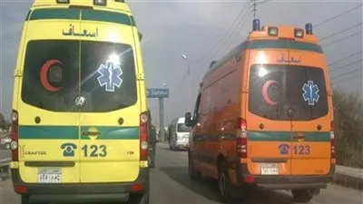 تشييع جثماني صديقين لقيا مصرعهما في تصادم دراجة بخارية وميكروباص بالشرقية