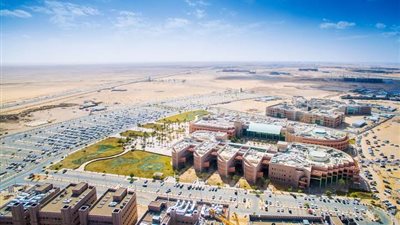 خمسة برامج بجامعة الجوف تحصل على الاعتماد البرامجي الوطني.. تفاصيل