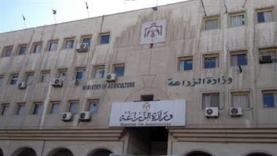 الزراعة تكشف تفاصيل إطلاق أكبر قافلة متحركة للسلع الغذائية بشمال سيناء (فيديو)