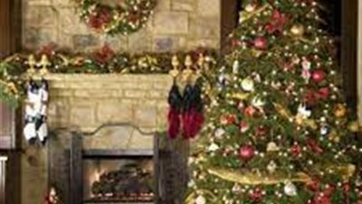 شجرة عيد الميلاد وأشجار لها قيمة روحية تعرف عليها في ليلة رأس السنة 