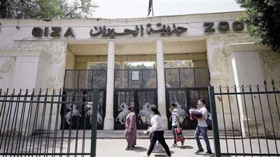 لم تغلق بعد.. مدير حديقة الحيوان يكشف الهدف والتفاصيل الكاملة لتطويرها (فيديو)