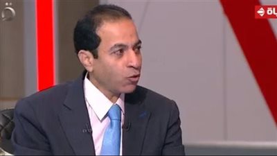 هشام إبراهيم: مصر تسعى لعمل شراكات اقتصادية بعيدا عن أي ضغوط سياسية