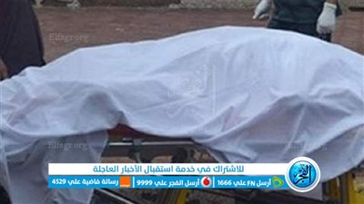 مصرع سيدة صعقا بالكهرباء بمركز التل الكبير في الإسماعيلية