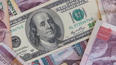 خبير اقتصادي يكشف سبب تعويم الجنيه المصري أمام الدولار (فيديو)