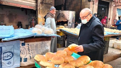 تموين الإسكندرية: تحرير 364 محضرا مخالفا في إدارات المحافظة (صور)