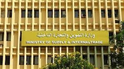 396 محضرًا مخالفا ضمن حملات ضبط الأسواق بالإسكندرية 