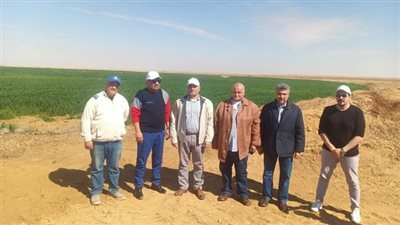 عاجل.. وزارة قطاع الأعمال تبحث إقامة مصنع أعلاف ومزارع للتسمين من خلال شركة جنوب الوادي